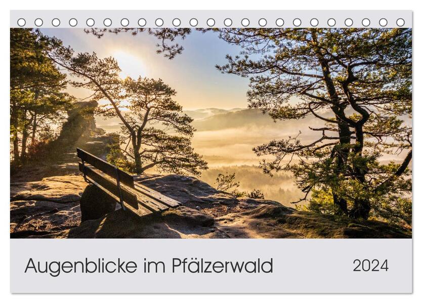 Augenblicke im Pfälzerwald (Tischkalender 2024 DIN A5 quer) CALVENDO Monatskalender
