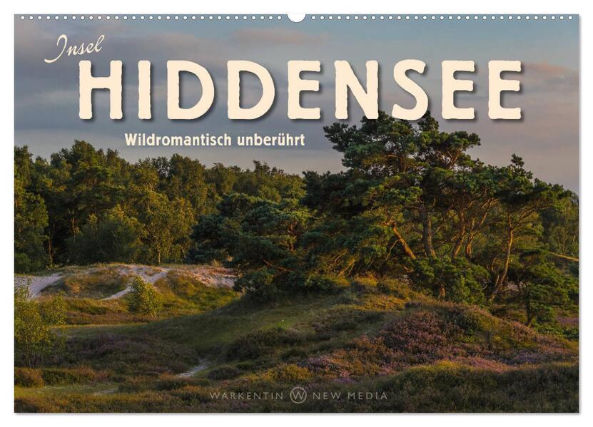 Insel Hiddensee - Wildromantisch unberührt (Wandkalender 2024 DIN A2 quer) CALVENDO Monatskalender