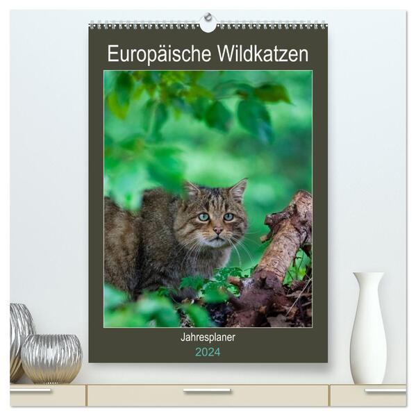 Europäische Wildkatzen - Jahresplaner (hochwertiger Premium Wandkalender 2024 DIN A2 hoch) Kunstdruck in Hochglanz