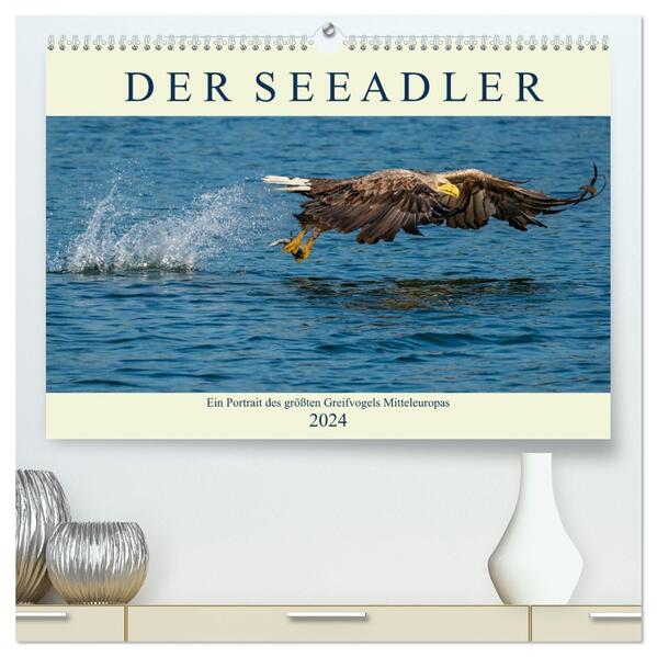 DER SEEADLER Ein Portrait des größten Greifvogels Mitteleuropas (hochwertiger Premium Wandkalender 2024 DIN A2 quer) Kunstdruck in Hochglanz