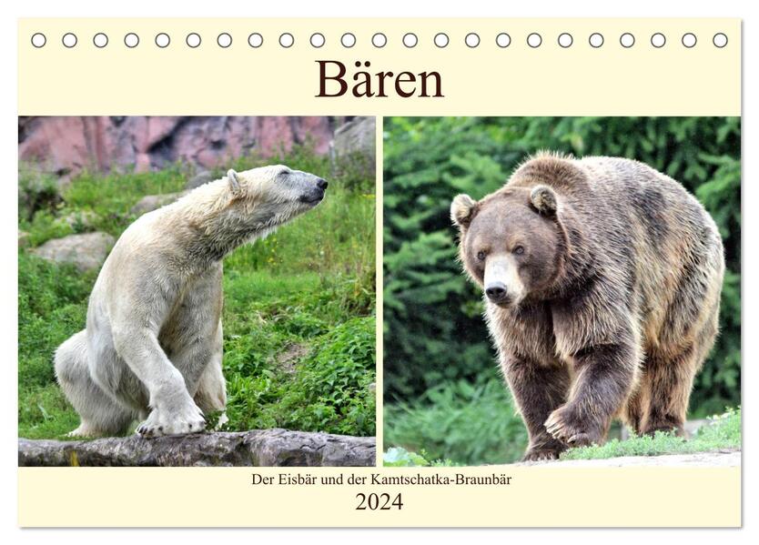 Bären - Der Eisbär und der Kamtschatka-Braunbär (Tischkalender 2024 DIN A5 quer) CALVENDO Monatskalender