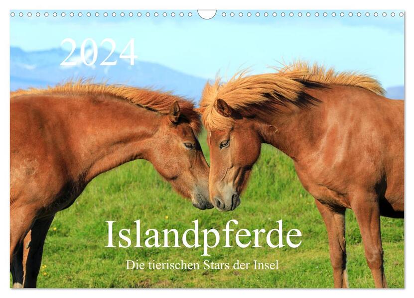 Islandpferde - Die tierischen Stars der Insel (Wandkalender 2024 DIN A3 quer) CALVENDO Monatskalender
