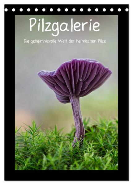 Pilzgalerie - Die geheimnisvolle Welt der heimischen Pilze (Tischkalender 2024 DIN A5 hoch) CALVENDO Monatskalender
