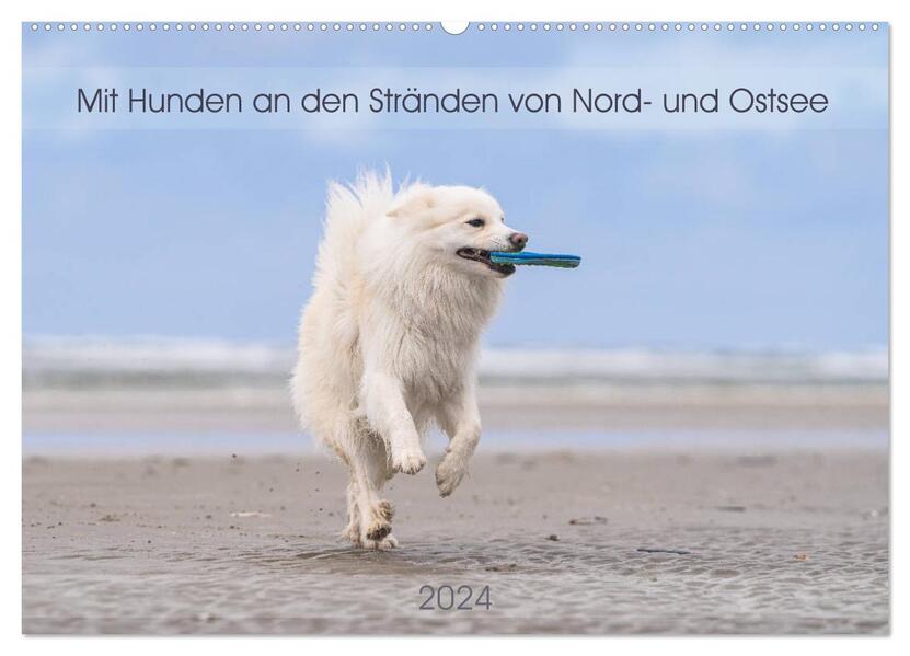Mit Hunden an den Stränden von Nord- und Ostsee (Wandkalender 2024 DIN A2 quer) CALVENDO Monatskalender