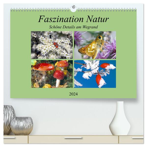 Faszination Natur - Schöne Details am Wegrand (hochwertiger Premium Wandkalender 2024 DIN A2 quer) Kunstdruck in Hochglanz