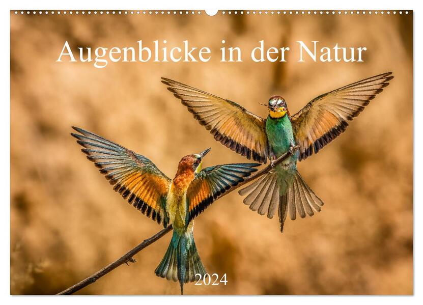 Augenblicke in der Natur (Wandkalender 2024 DIN A2 quer) CALVENDO Monatskalender