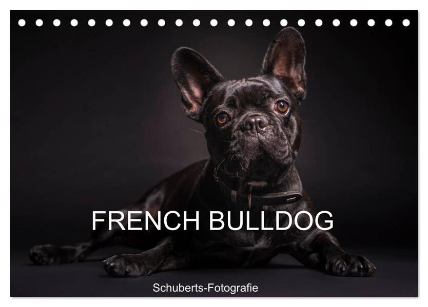 French Bulldog (Tischkalender 2024 DIN A5 quer) CALVENDO Monatskalender