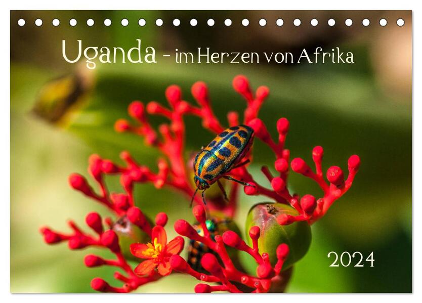 Uganda - im Herzen von Afrika (Tischkalender 2024 DIN A5 quer) CALVENDO Monatskalender