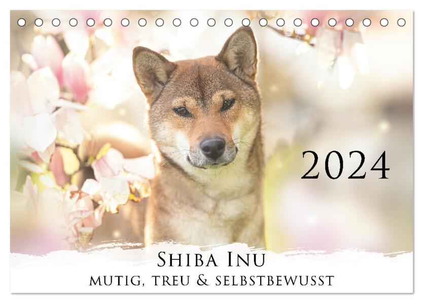 Shiba Inu - mutig treu selbstbewusst (Tischkalender 2024 DIN A5 quer) CALVENDO Monatskalender