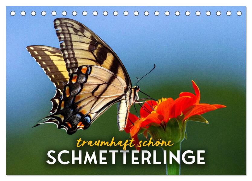Traumhaft schöne Schmetterlinge (Tischkalender 2024 DIN A5 quer) CALVENDO Monatskalender