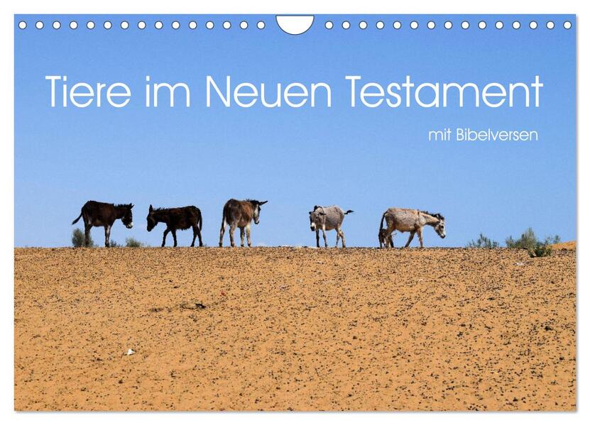 Tiere im Neuen Testament mit Bibelversen (Wandkalender 2024 DIN A4 quer) CALVENDO Monatskalender