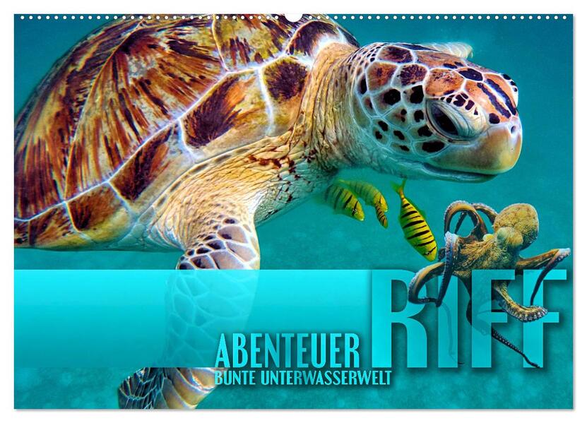 Abenteuer Riff - bunte Unterwasserwelt (Wandkalender 2024 DIN A2 quer) CALVENDO Monatskalender