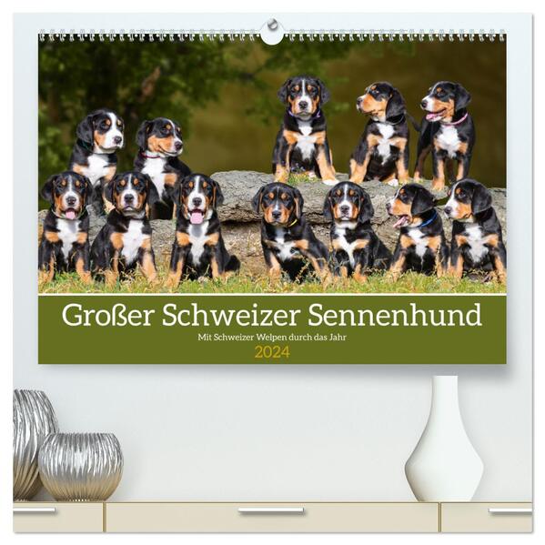 Großer Schweizer Sennenhund - Mit Schweizer Welpen durch das Jahr (hochwertiger Premium Wandkalender 2024 DIN A2 quer) Kunstdruck in Hochglanz