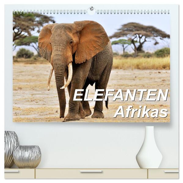 Elefanten Afrikas (hochwertiger Premium Wandkalender 2024 DIN A2 quer) Kunstdruck in Hochglanz