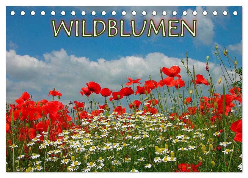 Wildblumen 2024 (Tischkalender 2024 DIN A5 quer) CALVENDO Monatskalender