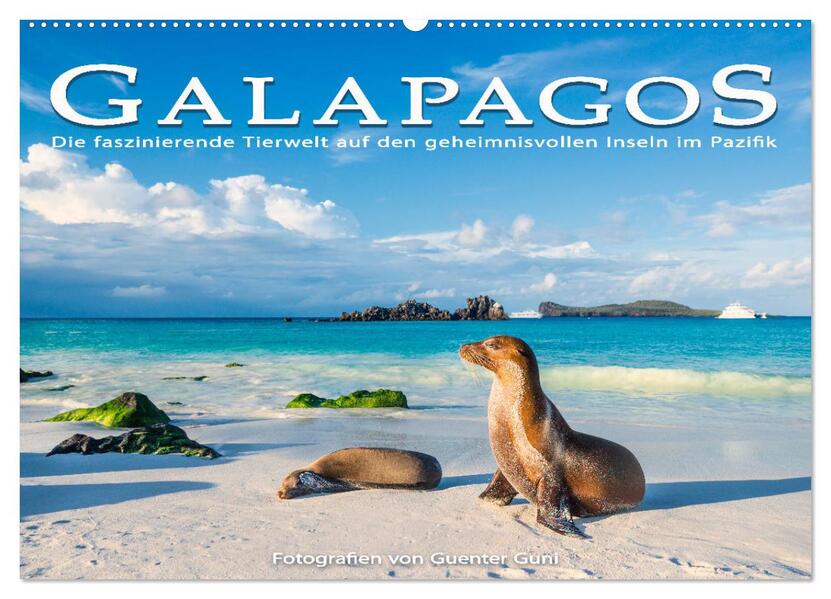 Die faszinierende Tierwelt der Galapagos-Inseln (Wandkalender 2024 DIN A2 quer) CALVENDO Monatskalender