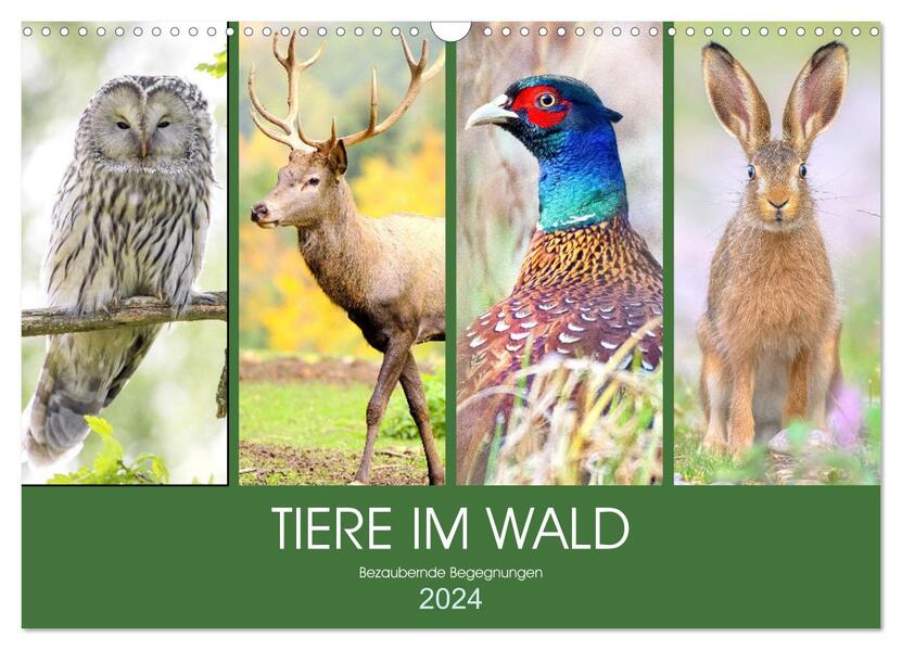 Tiere im Wald. Bezaubernde Begegnungen (Wandkalender 2024 DIN A3 quer) CALVENDO Monatskalender