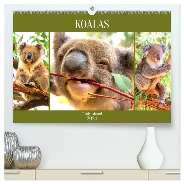 Koalas. Teddy-Alarm! (hochwertiger Premium Wandkalender 2024 DIN A2 quer) Kunstdruck in Hochglanz