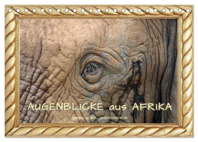 Augenblicke aus Afrika (Tischkalender 2024 DIN A5 quer) CALVENDO Monatskalender
