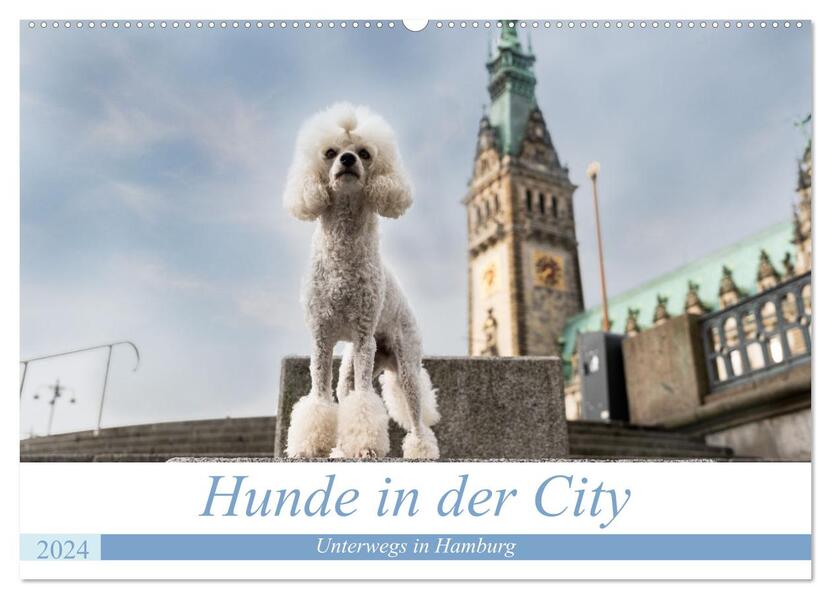 Hunde in der City - Unterwegs in Hamburg (Wandkalender 2024 DIN A2 quer) CALVENDO Monatskalender