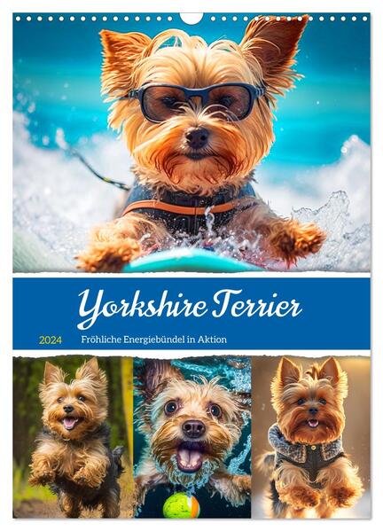 Yorkshire Terrier. Fröhliche Energiebündel in Aktion (Wandkalender 2024 DIN A3 hoch) CALVENDO Monatskalender