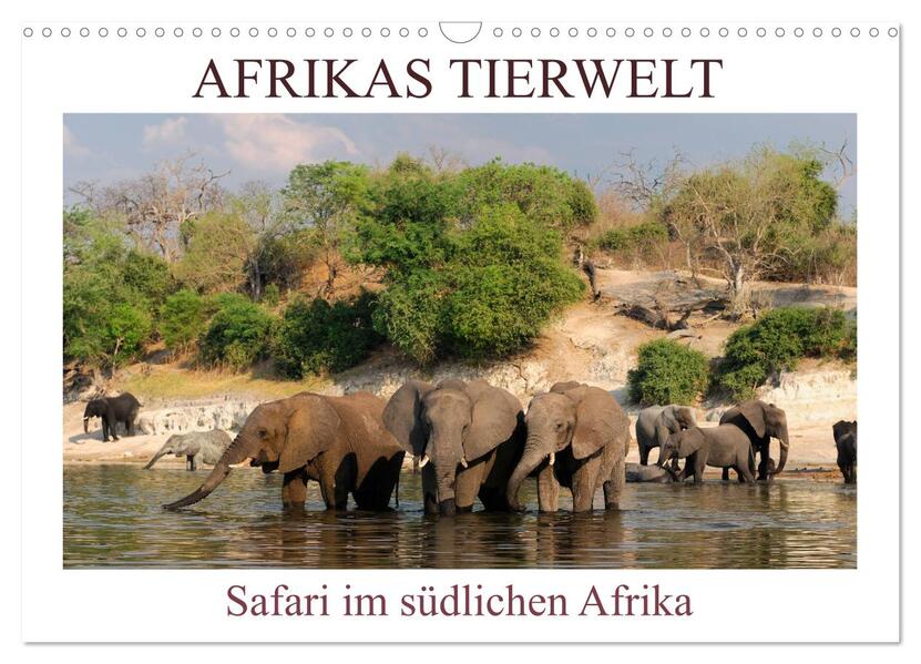 Afrikas Tierwelt Safari im südlichen Afrika (Wandkalender 2024 DIN A3 quer) CALVENDO Monatskalender