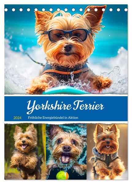 Yorkshire Terrier. Fröhliche Energiebündel in Aktion (Tischkalender 2024 DIN A5 hoch) CALVENDO Monatskalender