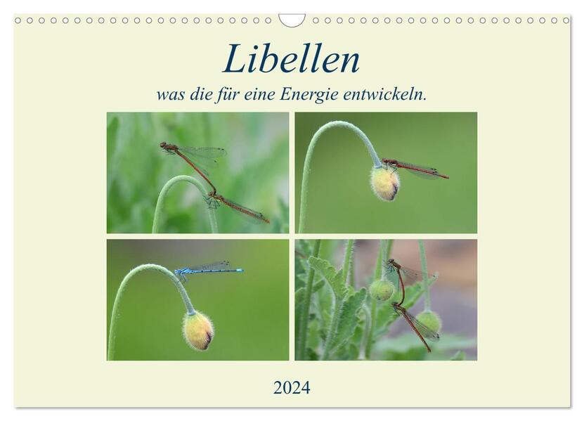 Libellen was die für eine Energie entwickeln. (Wandkalender 2024 DIN A3 quer) CALVENDO Monatskalender