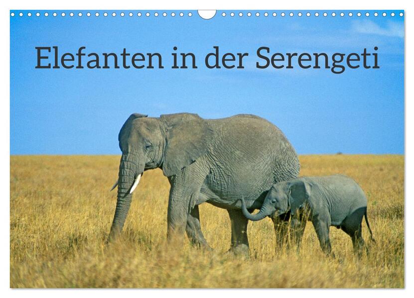 Elefanten in der Serengeti (Wandkalender 2024 DIN A3 quer) CALVENDO Monatskalender