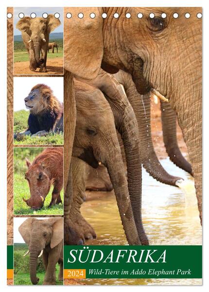 SÜDAFRIKA Wild-Tiere im Addo Elephant Park (Tischkalender 2024 DIN A5 hoch) CALVENDO Monatskalender