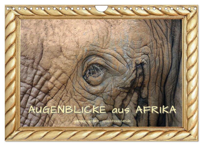 Augenblicke aus Afrika (Wandkalender 2024 DIN A4 quer) CALVENDO Monatskalender