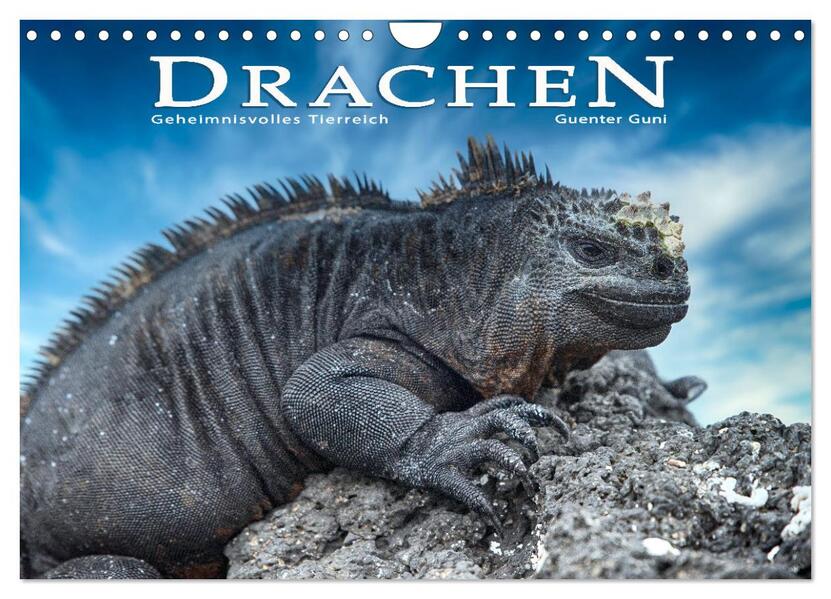 Drachen: Geheimnisvolles Tierreich (Wandkalender 2024 DIN A4 quer) CALVENDO Monatskalender