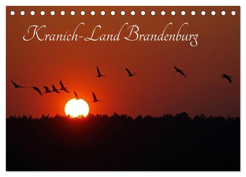 Kranich-Land Brandenburg (Tischkalender 2024 DIN A5 quer) CALVENDO Monatskalender