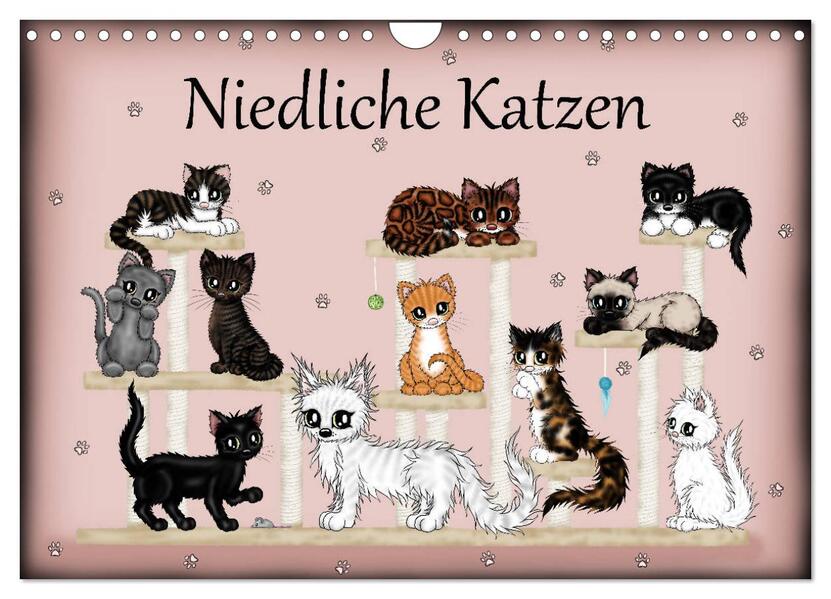 Niedliche Katzen (Wandkalender 2024 DIN A4 quer) CALVENDO Monatskalender