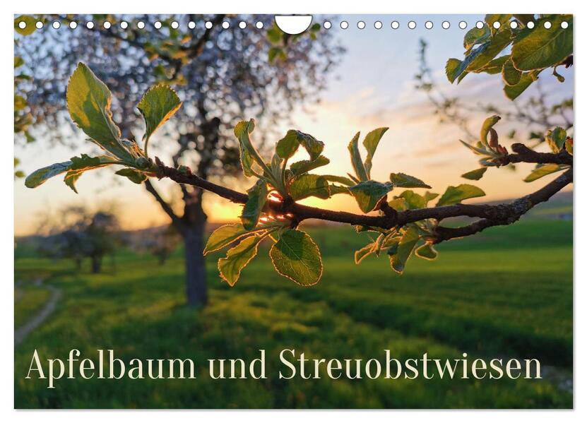 Apfelbaum und Streuobstwiesen (Wandkalender 2024 DIN A4 quer) CALVENDO Monatskalender