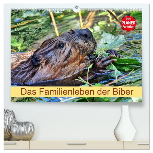 Das Familienleben der Biber (hochwertiger Premium Wandkalender 2024 DIN A2 quer) Kunstdruck in Hochglanz