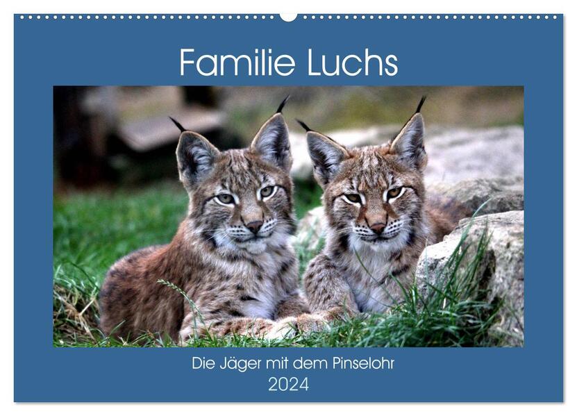 Familie Luchs - Die Jäger mit dem Pinselohr (Wandkalender 2024 DIN A2 quer) CALVENDO Monatskalender