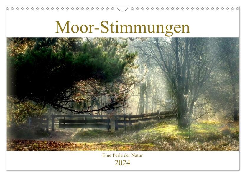 Moor-Stimmungen (Wandkalender 2024 DIN A3 quer) CALVENDO Monatskalender