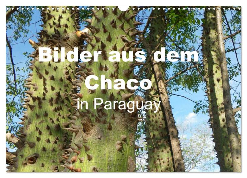 Bilder aus dem Chaco in Paraguay (Wandkalender 2024 DIN A3 quer) CALVENDO Monatskalender