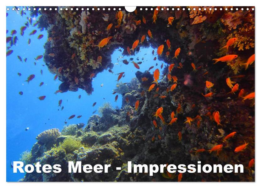 Rotes Meer - Impressionen (Wandkalender 2024 DIN A3 quer) CALVENDO Monatskalender