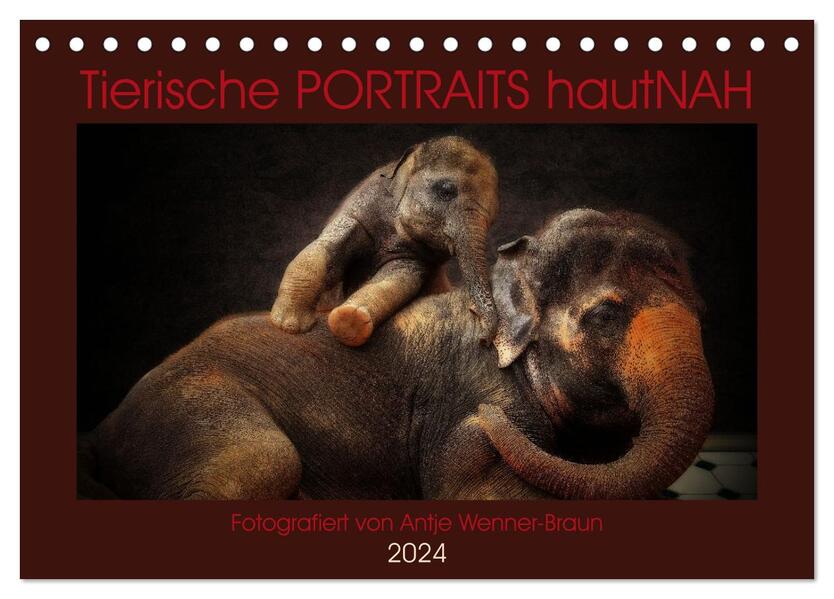 Tierische PORTRAITS hautNAH (Tischkalender 2024 DIN A5 quer) CALVENDO Monatskalender