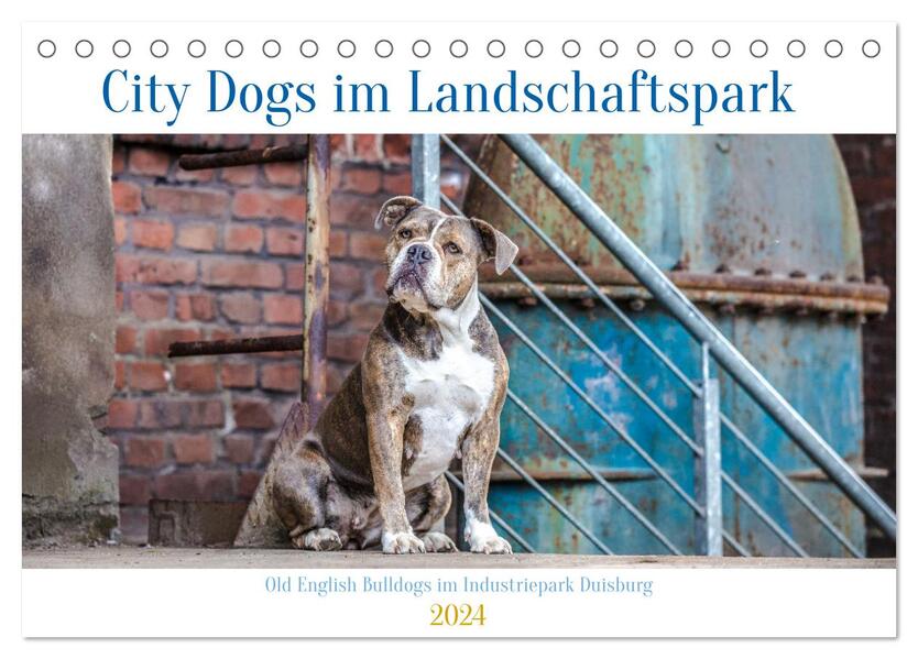 City Dogs im Landschaftspark (Tischkalender 2024 DIN A5 quer) CALVENDO Monatskalender