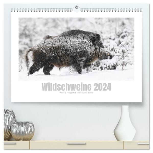 Wildschweine Wildlife Fotografien (hochwertiger Premium Wandkalender 2024 DIN A2 quer) Kunstdruck in Hochglanz