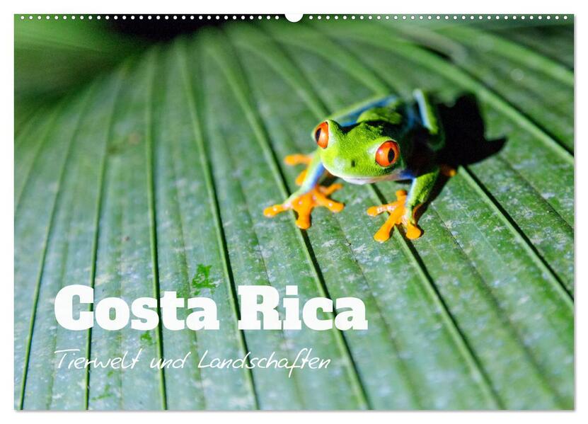 Costa Rica - Tierwelt und Landschaften (Wandkalender 2024 DIN A2 quer) CALVENDO Monatskalender