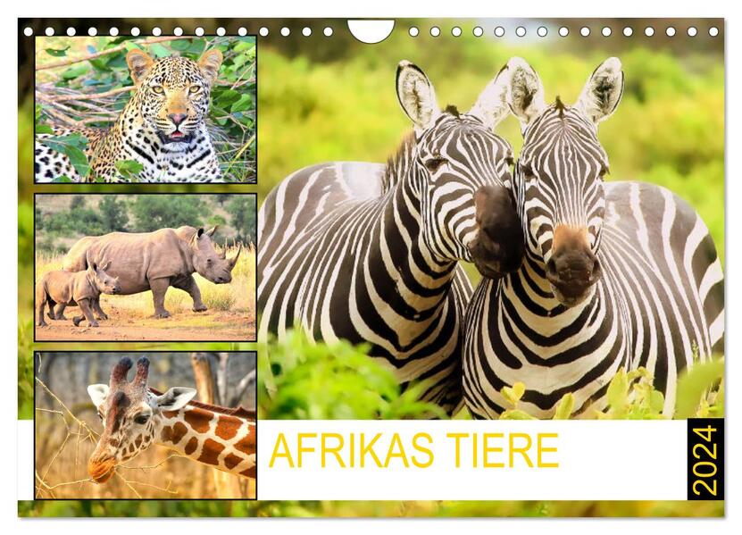 Afrikas Tiere. Majestäten in exotischer Wildnis (Wandkalender 2024 DIN A4 quer) CALVENDO Monatskalender