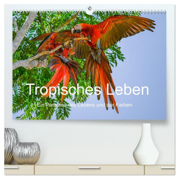 Tropisches Leben Ein Paradies des Lebens und der Farben (hochwertiger Premium Wandkalender 2024 DIN A2 quer) Kunstdruck in Hochglanz