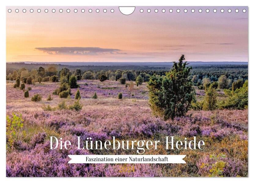 Die Lüneburger Heide - Faszination einer Naturlandschaft (Wandkalender 2024 DIN A4 quer) CALVENDO Monatskalender