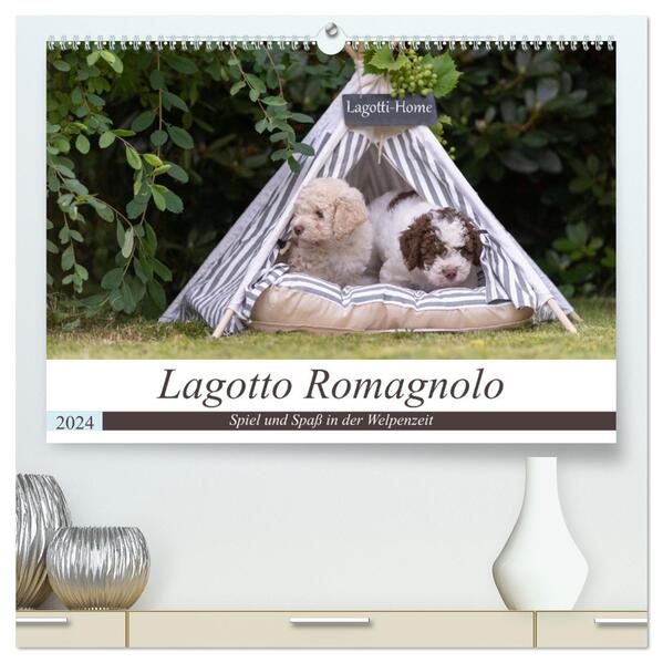 Lagotto Romagnolo - Spiel und Spaß in der Welpenzeit (hochwertiger Premium Wandkalender 2024 DIN A2 quer) Kunstdruck in Hochglanz