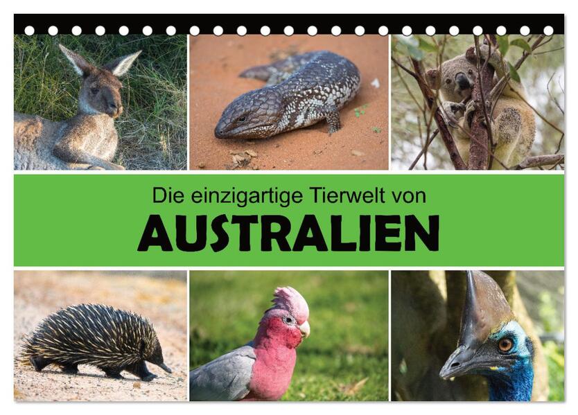 Die einzigartige Tierwelt von Australien (Tischkalender 2024 DIN A5 quer) CALVENDO Monatskalender