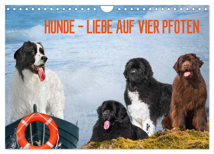 Hunde - Liebe auf vier Pfoten (Wandkalender 2024 DIN A4 quer) CALVENDO Monatskalender